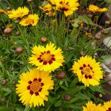 Нажмите чтобы увеличить изображение