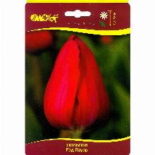 ТЮЛЬПАН РЕД ПАУЭР 3шт-карточка