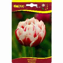 ТЮЛЬПАН МЭЛРОУЗ 3шт-карточка