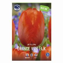 ТЮЛЬПАН ОРЭНДЖ ВАН ЭЙК 10шт-карточка lefeber