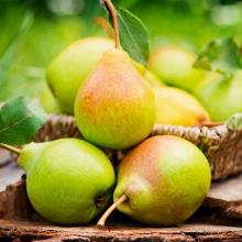 ГРУША АЛЁНУШКА пакет