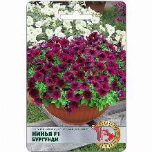 ПЕТУНИЯ КАСКАДНАЯ НИНЬЯ F1 БУРГУНДИ 5 ШТ биотехника