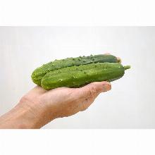 Нажмите чтобы увеличить изображение