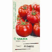 ТОМАТ ПАБЛО F1  8 ШТ гавриш