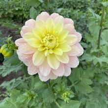 Нажмите чтобы увеличить изображение