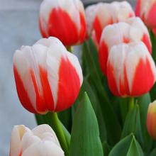 Нажмите чтобы увеличить изображение