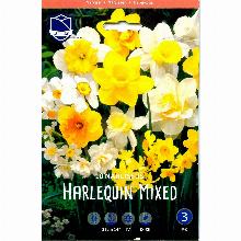 НАРЦИСС ХАРЛЕКВИН СМЕСЬ  10шт-карточка lefeber