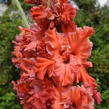 Нажмите чтобы увеличить изображение