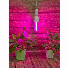 Нажмите чтобы увеличить изображение