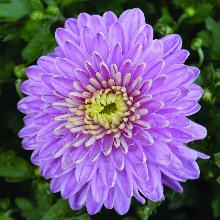 Нажмите чтобы увеличить изображение