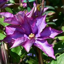 Нажмите чтобы увеличить изображение