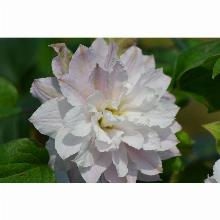 Нажмите чтобы увеличить изображение