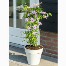 Нажмите чтобы увеличить изображение