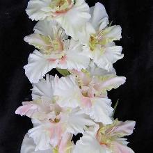 ГЛАДИОЛУС СНЕГИРИ 3шт-пакет