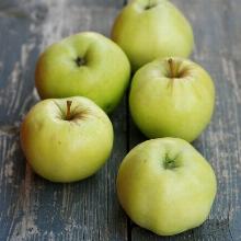 ЯБЛОНЯ АНТОНОВКА СТАКАНЧАТАЯ пакет