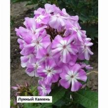 Нажмите чтобы увеличить изображение