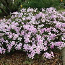 Нажмите чтобы увеличить изображение