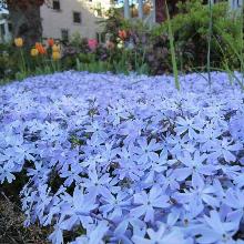 Нажмите чтобы увеличить изображение