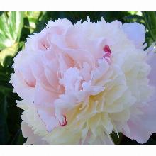 Нажмите чтобы увеличить изображение