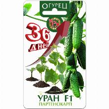 ОГУРЕЦ УРАН F1 8 ШТ биотехника