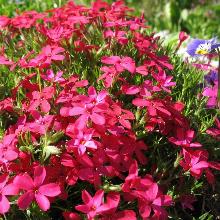 Нажмите чтобы увеличить изображение