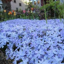 Нажмите чтобы увеличить изображение