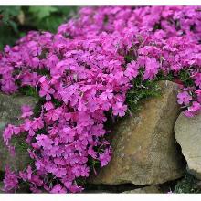 Нажмите чтобы увеличить изображение