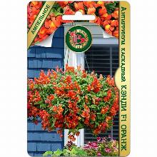 АНТИРРИНУМ КЭНДИ F1 ОРАНЖ 15 ШТ биотехника