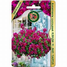 АНТИРРИНУМ КЭНДИ F1 ДИП ПАРПЛ 15 ШТ биотехника