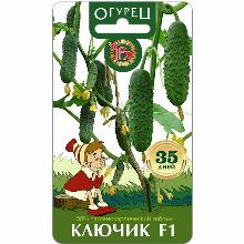 ОГУРЕЦ КЛЮЧИК F1 8 ШТ биотехника