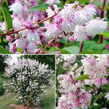 Нажмите чтобы увеличить изображение