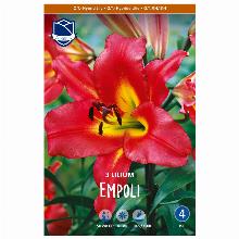 ЛИЛИЯ ЭМПОЛИ 3шт-карточка lefeber