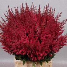 Нажмите чтобы увеличить изображение