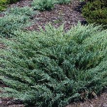 Нажмите чтобы увеличить изображение