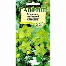 МОРОЗНИК КАВКАЗСКИЙ СПРИНГ 0,1 Г гавриш