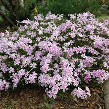 Нажмите чтобы увеличить изображение