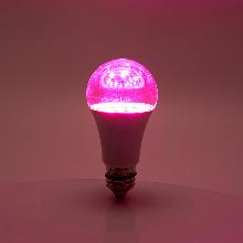 Нажмите чтобы увеличить изображение