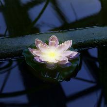 СВЕТИЛЬНИК САДОВЫЙ НА СОЛНЕЧНОЙ БАТАРЕЕ КУВШИНКА ФИОЛЕТОВАЯ uniel USL-S-828/РТ060