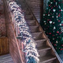 ГИРЛЯНДА CL587 feron 51461