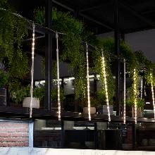 ГИРЛЯНДА CL585 feron 51452