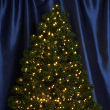 ГИРЛЯНДА CL10 feron 48181