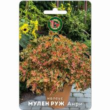 КОЛЕУС МУЛЕН РУЖ АНРИ 10 ШТ биотехника
