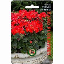 ПЕЛАРГОНИЯ НАНО F1 СКАРЛЕТ 5 ШТ биотехника