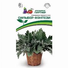 ЦИНЕРАРИЯ ПРИМОРСКАЯ СИЛЬВЕР ФЭНТЕЗИ 15 ШТ партнер