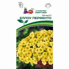 ПЕТХОА F1 ЕЛЛОУ ПЕРФЕКТО 5 ШТ партнер