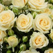 Нажмите чтобы увеличить изображение