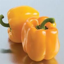 РАССАДА ПЕРЕЦ СЛАДКИЙ АФРОДИТА кассета-6шт