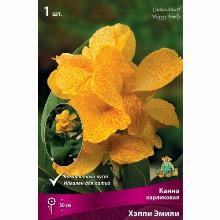 КАННА ХЕППИ ЭМИЛИ карточка поиск