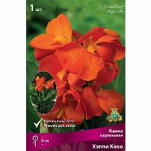 КАННА ХЭППИ КЛЕО карточка поиск