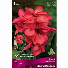 КАННА ХЕППИ ИЗАБЕЛЬ карточка поиск